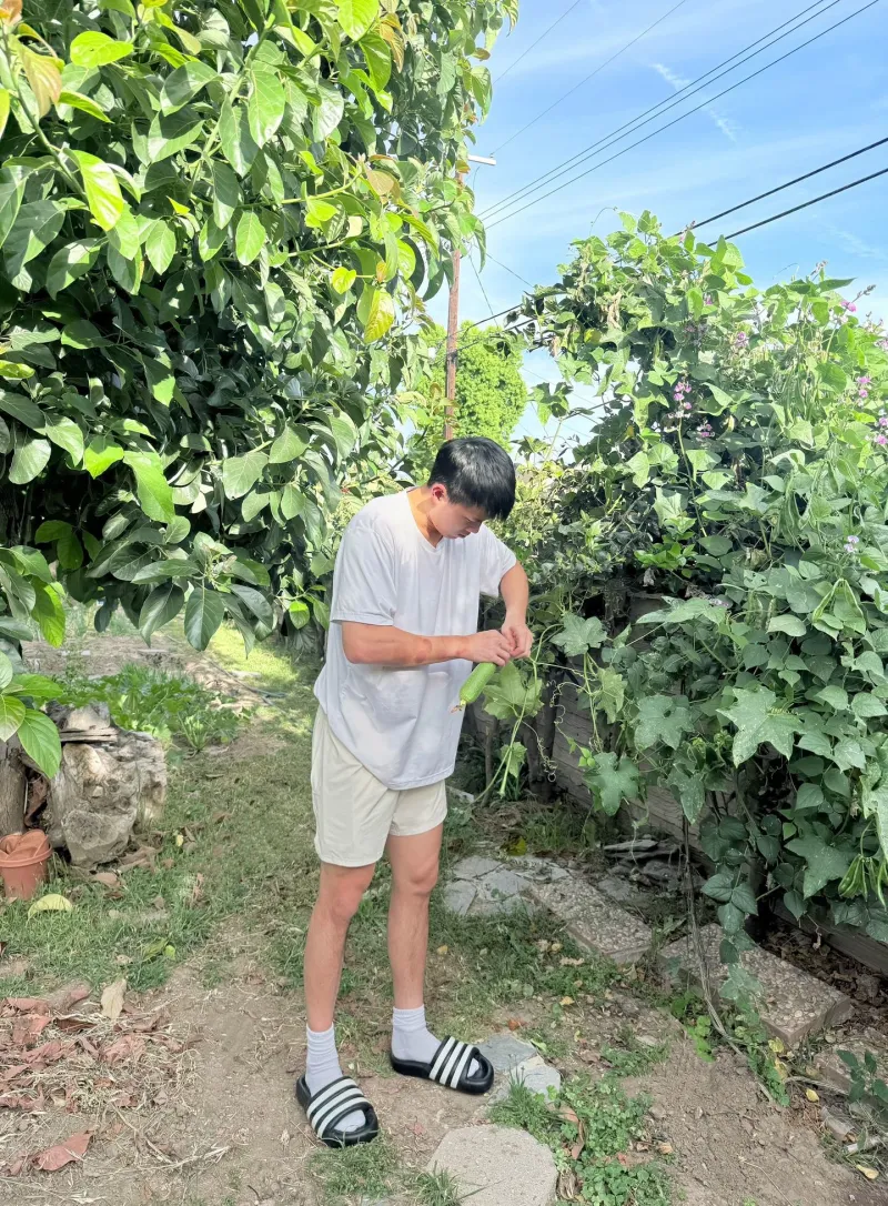 开云官方网站-留洋球员林葳更新社媒分享生活图集并配文：近期